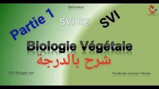 Biologies végétles s2 partie 1 thallophyte  cormophyte شرح بالدرجة [upl. by Fong]