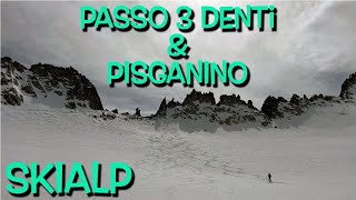 Passo 3 Denti amp Pisganino  Gruppo dellAdamello  Skialp [upl. by Redna]