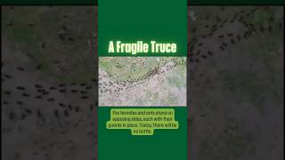 A Fragile Truce Termites vs Ants [upl. by Mojgan]