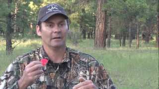 Elk Calling Tips on Cow Calls with Steve Chappell [upl. by Nilrac]