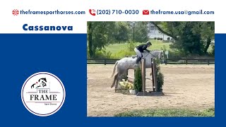 Cassanova  Warrenton Horse Show [upl. by Naida]