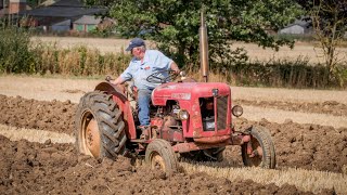 David Brown 980 Ploughing [upl. by Brosy]