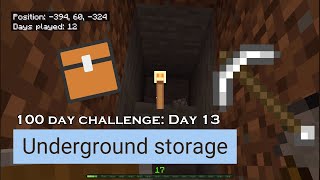 Day 13 Building an Underground Storage Room Minecraft Family in Survival Easy [upl. by Daney2]