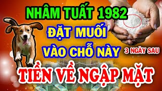 Hé Lộ Chấn Động Nhâm Tuất 1982 Đặt Muối Chỗ Này 3 Ngày Sau TRÚNG SỐ ĐỘC ĐẮC Đổi Đời Giàu To [upl. by Nnad]