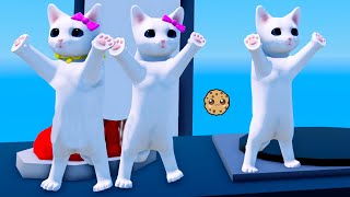 Kitten Family Cat House Roblox [upl. by Akirdnwahs709]