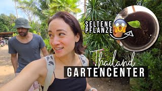 Seltene Pflanze GESCHENKT BEKOMMEN  Pflanzencenter Thailand  VLOG [upl. by Petulah]