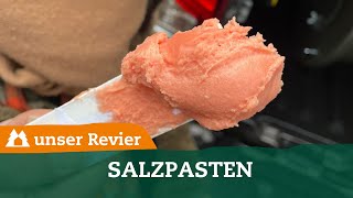 Salzpasten I Salz fürs Revier I Reviereinrichtung I unser Revier I 10 [upl. by Noirod]