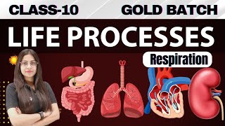 💥 Life Process Lec  10 class10 cbse biology respiration [upl. by Marcelia460]