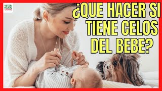 🆘 ¿QUÉ HACER SI MI PERRO TIENE CELOS DE MI BEBE 🆘 [upl. by Freddy976]