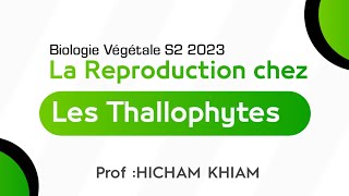 La Reproduction chez les Thallophytes  les Algues  S2 svt [upl. by Heng413]