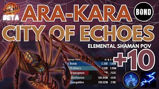 AraKara City of Echoes 10  Farseer Elemental Shaman  TWW Beta [upl. by Aryamo]