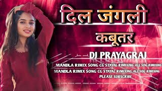 DJ PRAYAG RAJ दिल जंगली कबूतर  DIL JANGLI KABUTAR SONG  DJPRAYAGRAJMANDLA [upl. by Cagle105]