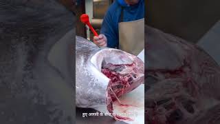 Benefits of chia seeds hindi ytshorts shortvideo youtube trending viralvideo viralshorts [upl. by Demetria816]