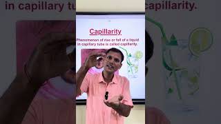 What is capillary action or Capillarity  capillary tube  Ace physics Vijay sir [upl. by Saint]