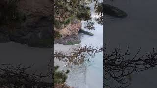 Mendocino California Headlands [upl. by Ahsiret]