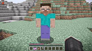 I SAW HEROBRINE IN MINECRAFT… [upl. by Kresic]