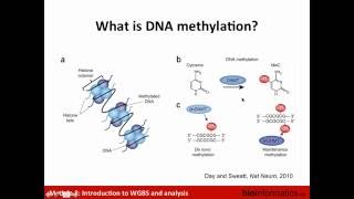 Introduction to WGBS and Analysis [upl. by Laszlo]