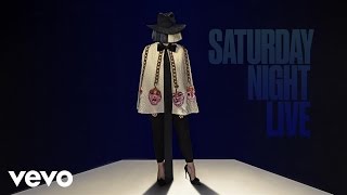 Sia  Bird Set Free Live From SNL [upl. by Notlih]