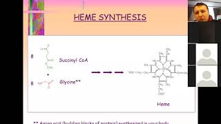 AFSÜ Hematoloji Dersi  Hemoglobin Miyoglobin Metabolizması [upl. by Oruntha693]