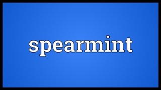 Spearmint Meaning [upl. by Radbun]