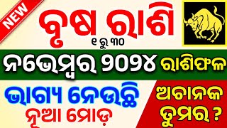 ବୃଷ ରାଶି ନଭେମ୍ବର ୨୦୨୪ ରାଶିଫଳ ♉ Brusha Rashi November 2024 Rashifala TAURUS NOVEMBER HOROSCOPE ODIA [upl. by Dressel]