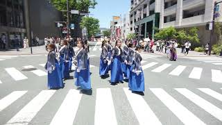 山口県立大学 奄美連合 萩組 黒崎よさこい祭りパレード会場02 [upl. by Trebeh37]