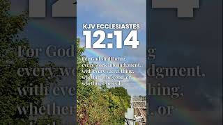 KJV Ecclesiastes 1214 kjv scriptureoftheday verseoftheday quoteoftheday jesuschrist godsword [upl. by Ailices]