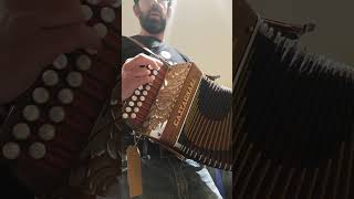 redowa polka castagnari lilly dg melodeon [upl. by Yelime221]