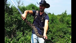 The LONGEST Timber Rattlesnake I Ever Handled [upl. by Jacobs114]