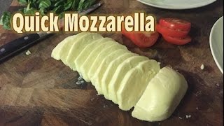 Making Quick Mozzarella at home [upl. by Ymorej]