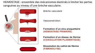 Hemato 08La physiologie de l’hémostase Dr Abbadi [upl. by Calise]