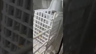 Dishwasher not draining properly Frigidaire dishwasher fix [upl. by Anirres]