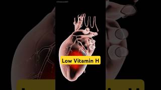 Low Selenium Cobalamin Vitamin H and Arginine Health Science Food [upl. by Marybeth]