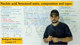 Introduction to nucleic acid and nucleotide  types of nucleotides [upl. by Kumler451]