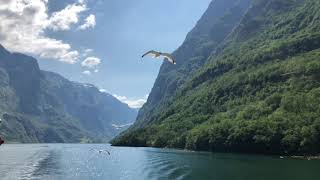 Sognefjord Cruise  Norway fjords in 4k  Cruise amp fishing summer 2018 [upl. by Siclari]