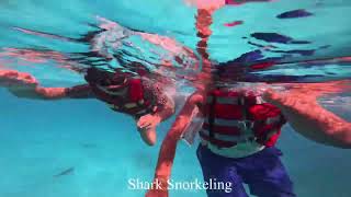 Snorkeling in Maldives Malahini Kuda Bandos Resorts [upl. by Nitsug]