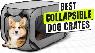 5 BEST Collapsible Dog Crates [upl. by Avril]