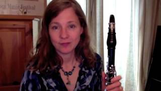 Clarinet Lesson Beginners  making a great first sound [upl. by Mikeb]