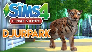 Djurpark i Sims 😱🐯  Sims 4 Hundar amp Katter [upl. by Nyrret]