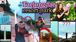 Taejongdae Resort Park and Ocean  Busan korea  Diwa limbu [upl. by Levin]