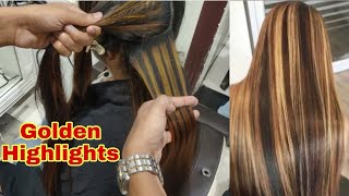 Loreal Majirel Lightest Brown Hair Color With Golden Highlights [upl. by Lazare]