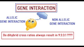 Gene interaction basic concept [upl. by Geddes308]