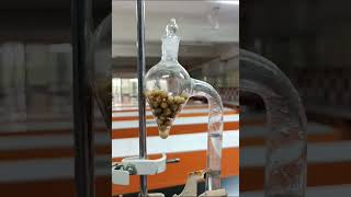 Ganongs Respirometer  Study of Aerobic Respiration in Germinating seeds [upl. by Annayram]