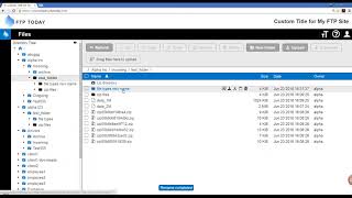 FTP Today  How to Rename [upl. by Siuoleoj]