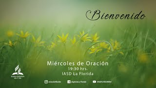 Miércoles de Oración 13112024 [upl. by Maisey]