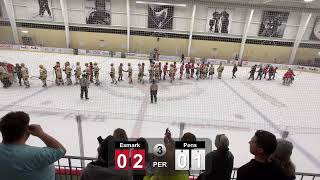 Pittsburgh Esmark Stars 2007 Live Live Stream [upl. by Reace]