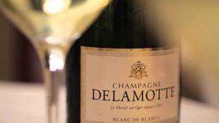 Delamotte new labels launch 2012 HD [upl. by Erastus]