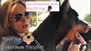 Doberman gets new dog ID tag PetSmart TagWorks [upl. by Gonzalo]