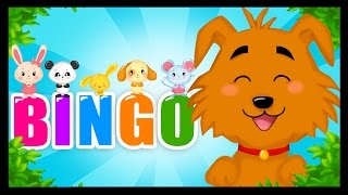 Bingo en français  Compilation de comptines et chansons pour les enfants  Titounis [upl. by Nomor]