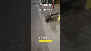 통발에 어떻게 들어간단 말이고 남해 고양이 길고양이 omg 세상에이런일이 통발 cat [upl. by Atikram]